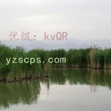 ֻ